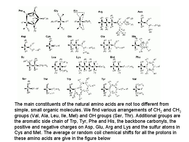 The main constituents of the natural amino acids are not too different from simple, The main constituents of the natural amino acids are not too different from simple,