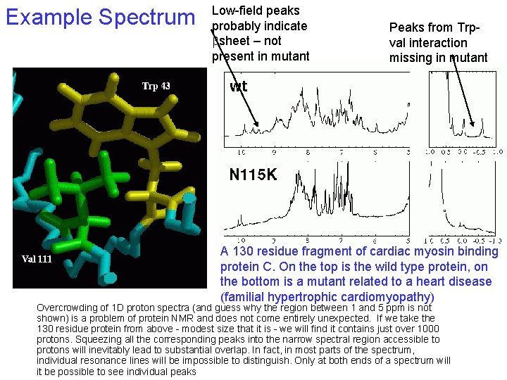 Example Spectrum Low-field peaks probably indicate bsheet – not present in mutant Peaks from Example Spectrum Low-field peaks probably indicate bsheet – not present in mutant Peaks from