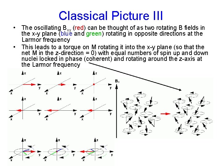 Classical Picture III • The oscillating Bxy (red) can be thought of as two Classical Picture III • The oscillating Bxy (red) can be thought of as two