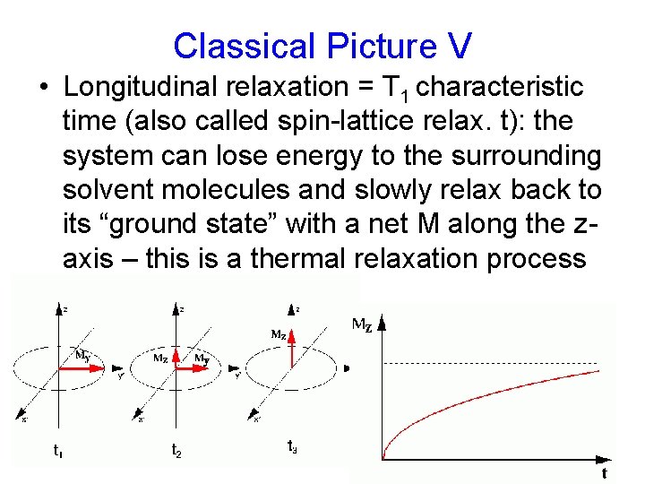 Classical Picture V • Longitudinal relaxation = T 1 characteristic time (also called spin-lattice Classical Picture V • Longitudinal relaxation = T 1 characteristic time (also called spin-lattice