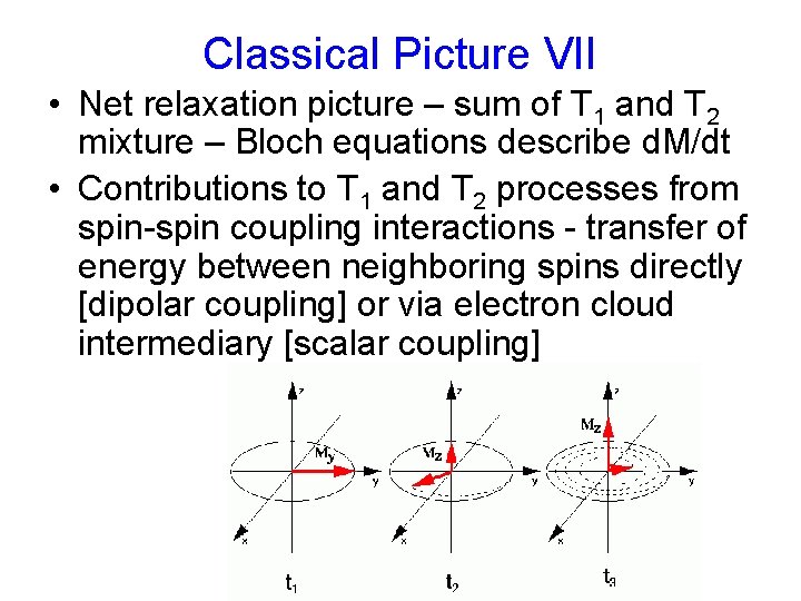 Classical Picture VII • Net relaxation picture – sum of T 1 and T Classical Picture VII • Net relaxation picture – sum of T 1 and T
