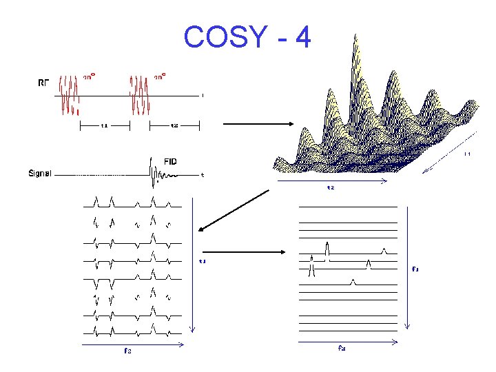 COSY - 4 COSY - 4