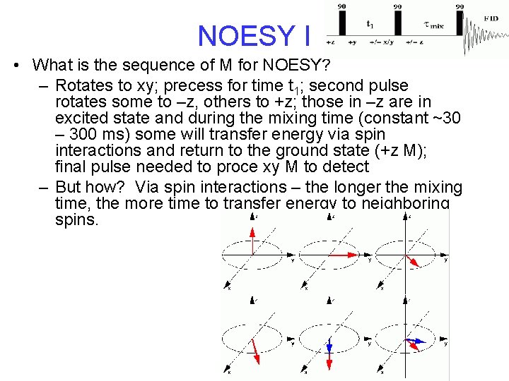 NOESY I • What is the sequence of M for NOESY? – Rotates to NOESY I • What is the sequence of M for NOESY? – Rotates to