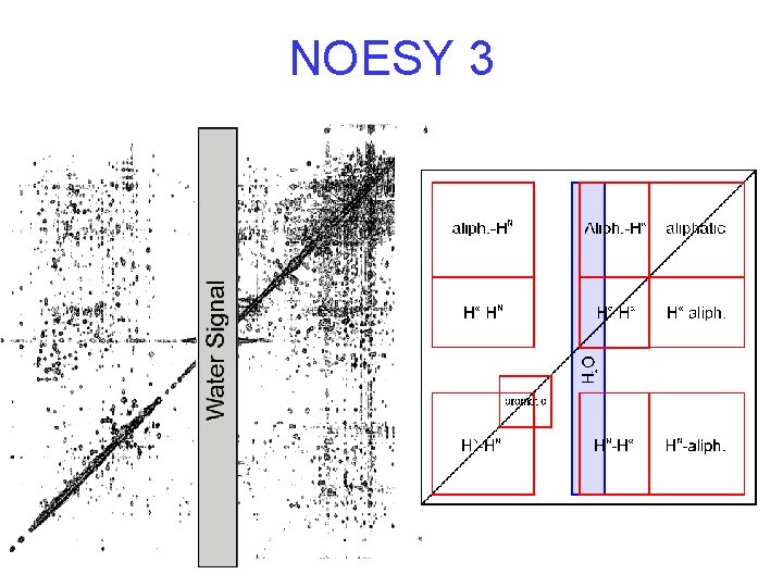NOESY 3 NOESY 3