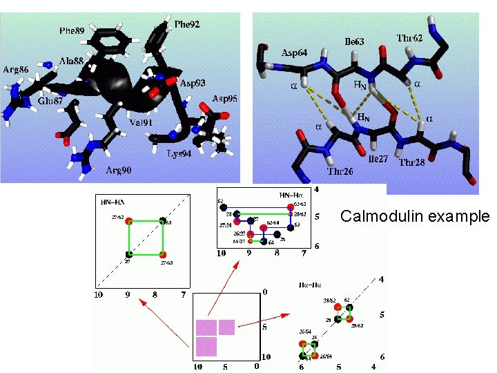 Calmodulin example Calmodulin example