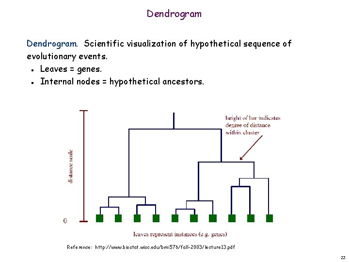 Dendrogram. Scientific visualization of hypothetical sequence of evolutionary events. Leaves = genes. Internal nodes