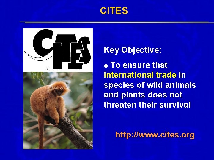 CITES Key Objective: To ensure that international trade in species of wild animals and