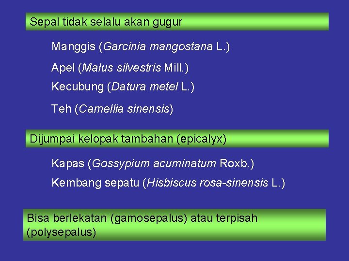 Sepal tidak selalu akan gugur Manggis (Garcinia mangostana L. ) Apel (Malus silvestris Mill. Sepal tidak selalu akan gugur Manggis (Garcinia mangostana L. ) Apel (Malus silvestris Mill.