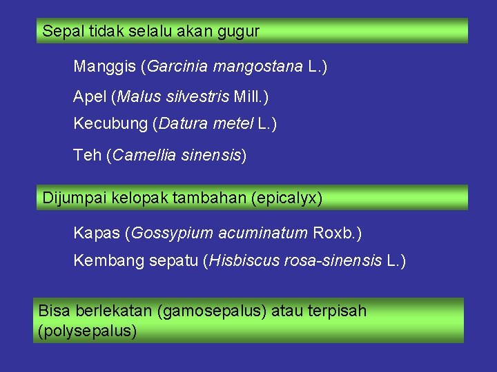 Sepal tidak selalu akan gugur Manggis (Garcinia mangostana L. ) Apel (Malus silvestris Mill.