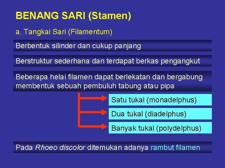 BENANG SARI (Stamen) a. Tangkai Sari (Filamentum) Berbentuk silinder dan cukup panjang Berstruktur sederhana BENANG SARI (Stamen) a. Tangkai Sari (Filamentum) Berbentuk silinder dan cukup panjang Berstruktur sederhana