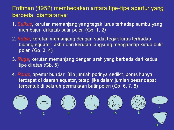 Erdtman (1952) membedakan antara tipe-tipe apertur yang berbeda, diantaranya: 1. Sulkus, kerutan memanjang yang Erdtman (1952) membedakan antara tipe-tipe apertur yang berbeda, diantaranya: 1. Sulkus, kerutan memanjang yang