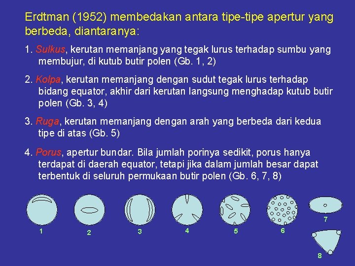 Erdtman (1952) membedakan antara tipe-tipe apertur yang berbeda, diantaranya: 1. Sulkus, kerutan memanjang yang