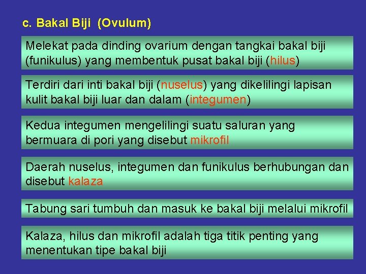 c. Bakal Biji (Ovulum) Melekat pada dinding ovarium dengan tangkai bakal biji (funikulus) yang