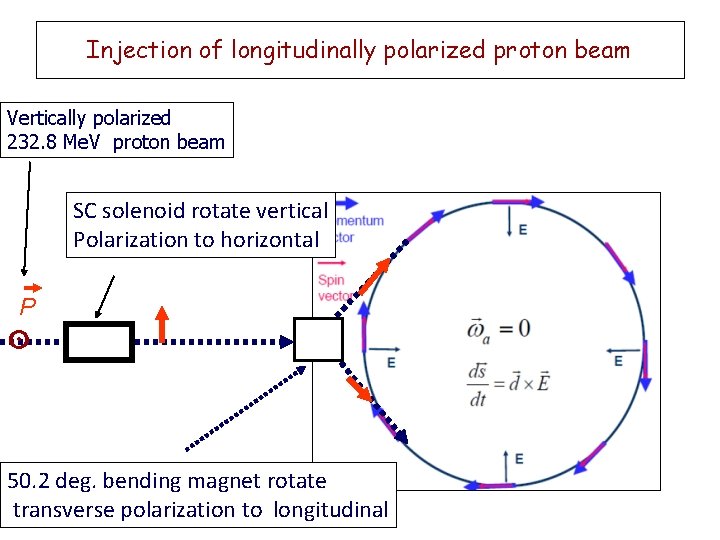 Injection of longitudinally polarized proton beam Vertically polarized 232. 8 Me. V proton beam