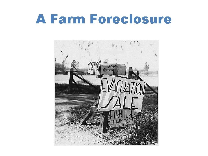 A Farm Foreclosure 