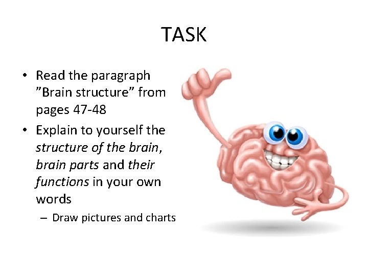 TASK • Read the paragraph ”Brain structure” from pages 47 -48 • Explain to