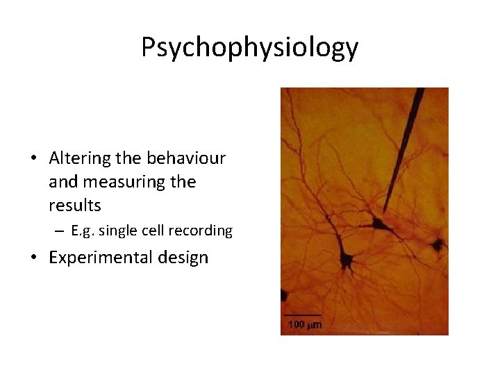 Psychophysiology • Altering the behaviour and measuring the results – E. g. single cell