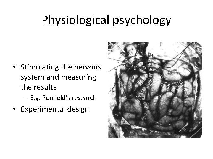 Physiological psychology • Stimulating the nervous system and measuring the results – E. g.