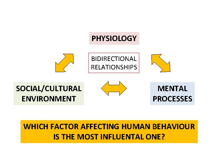PHYSIOLOGY BIDIRECTIONAL RELATIONSHIPS SOCIAL/CULTURAL ENVIRONMENTAL PROCESSES WHICH FACTOR AFFECTING HUMAN BEHAVIOUR IS THE MOST