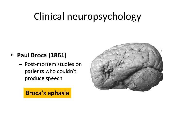 Clinical neuropsychology • Paul Broca (1861) – Post-mortem studies on patients who couldn’t produce