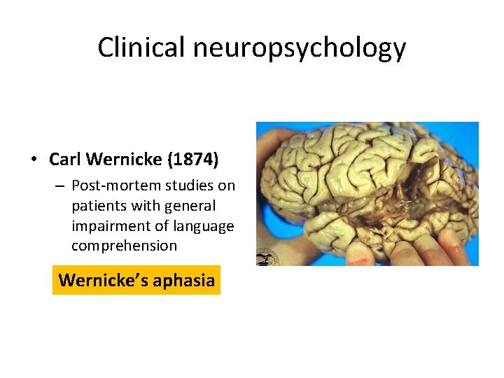 Clinical neuropsychology • Carl Wernicke (1874) – Post-mortem studies on patients with general impairment