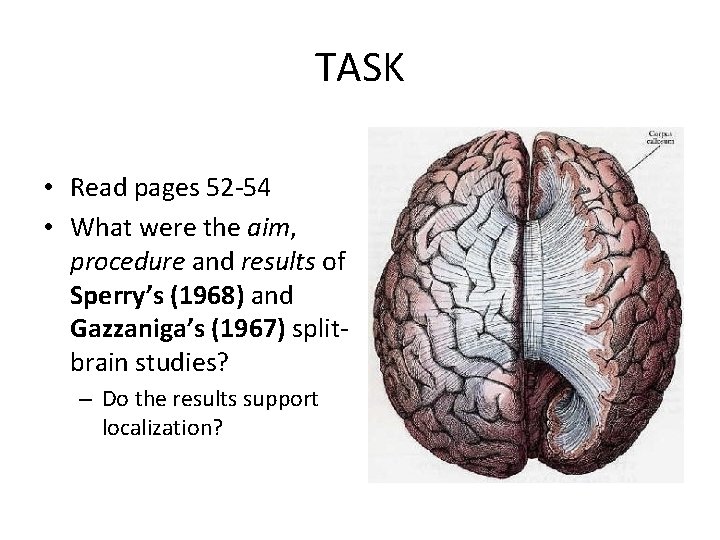 TASK • Read pages 52 -54 • What were the aim, procedure and results