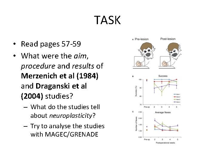 TASK • Read pages 57 -59 • What were the aim, procedure and results