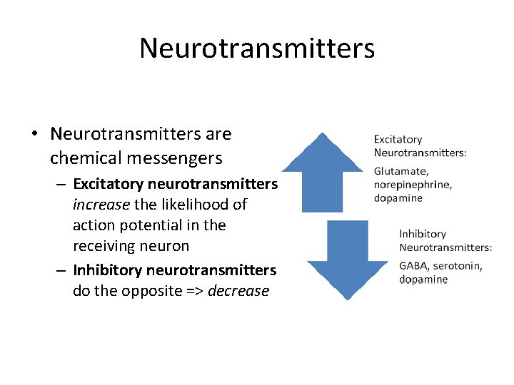 Neurotransmitters • Neurotransmitters are chemical messengers – Excitatory neurotransmitters increase the likelihood of action