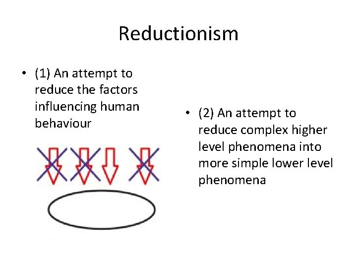 Reductionism • (1) An attempt to reduce the factors influencing human behaviour • (2)