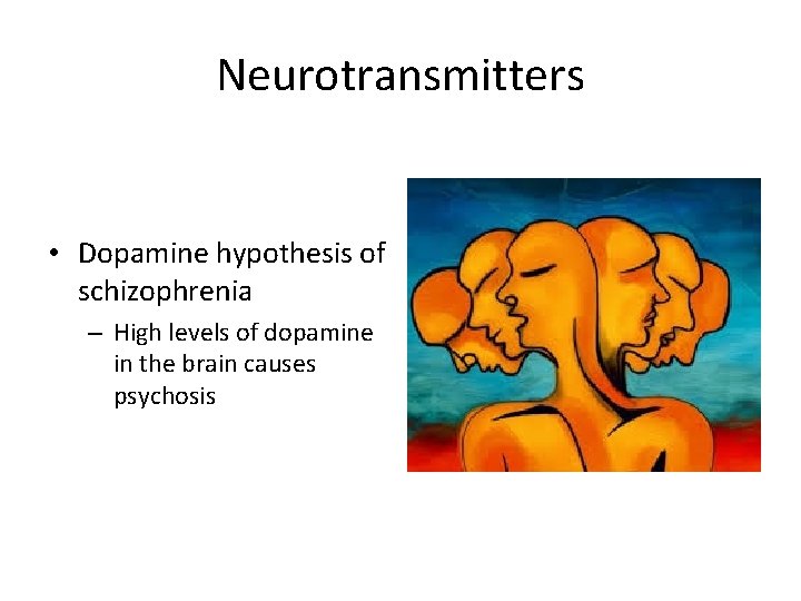 Neurotransmitters • Dopamine hypothesis of schizophrenia – High levels of dopamine in the brain