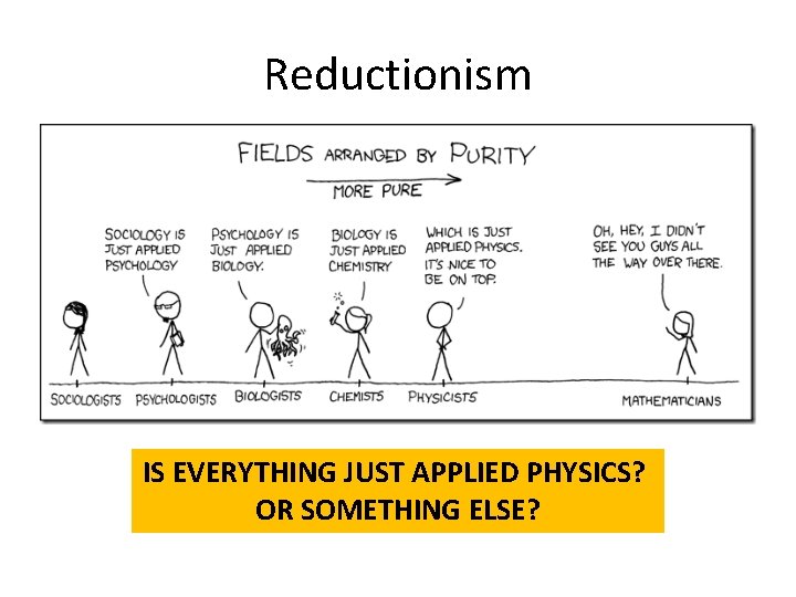 Reductionism IS EVERYTHING JUST APPLIED PHYSICS? OR SOMETHING ELSE? 