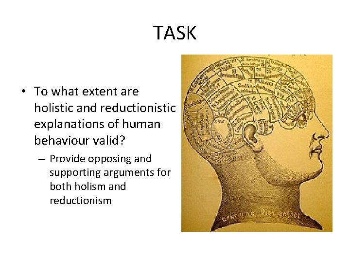 TASK • To what extent are holistic and reductionistic explanations of human behaviour valid?