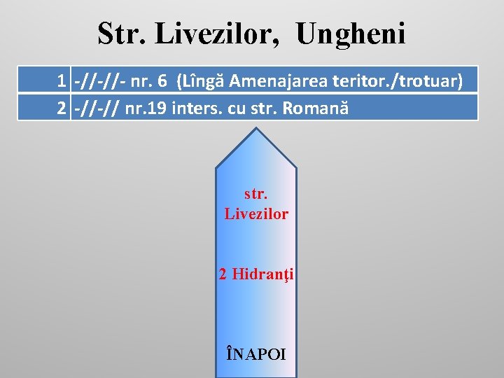 Str. Livezilor, Ungheni 1 -//-//- nr. 6 (Lîngă Amenajarea teritor. /trotuar) 2 -//-// nr.