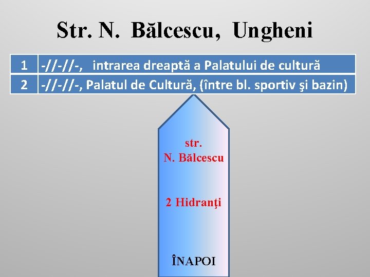 Str. N. Bălcescu, Ungheni 1 -//-//-, intrarea dreaptă a Palatului de cultură 2 -//-//-,