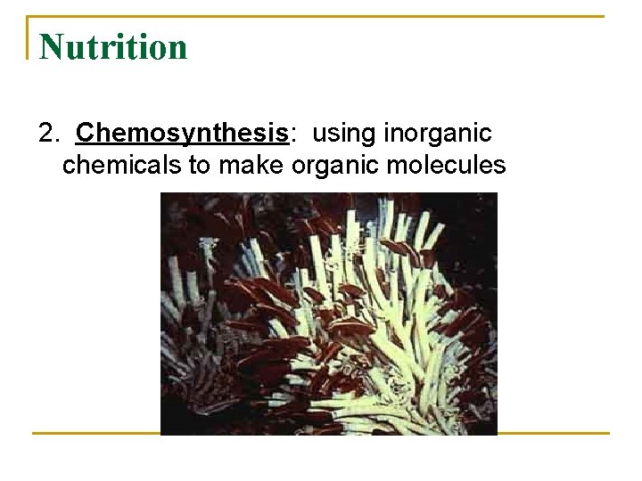 Nutrition 2. Chemosynthesis: using inorganic chemicals to make organic molecules 