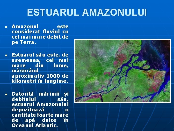 ESTUARUL AMAZONULUI n n n Amazonul este considerat fluviul cu cel mai mare debit ESTUARUL AMAZONULUI n n n Amazonul este considerat fluviul cu cel mai mare debit