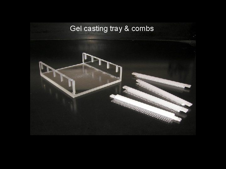 Gel casting tray & combs 