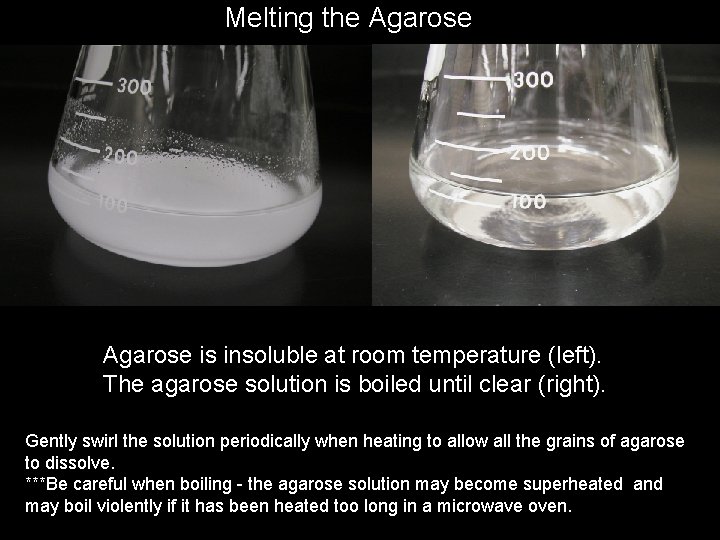 Melting the Agarose is insoluble at room temperature (left). The agarose solution is boiled