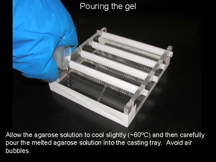 Pouring the gel Allow the agarose solution to cool slightly (~60ºC) and then carefully