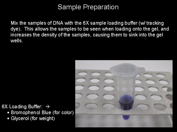 Sample Preparation Mix the samples of DNA with the 6 X sample loading buffer