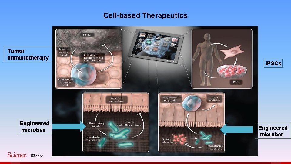 Cell-based Therapeutics Tumor Immunotherapy Engineered microbes i. PSCs Engineered microbes 