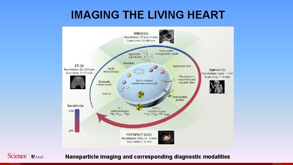 IMAGING THE LIVING HEART Nanoparticle imaging and corresponding diagnostic modalities 