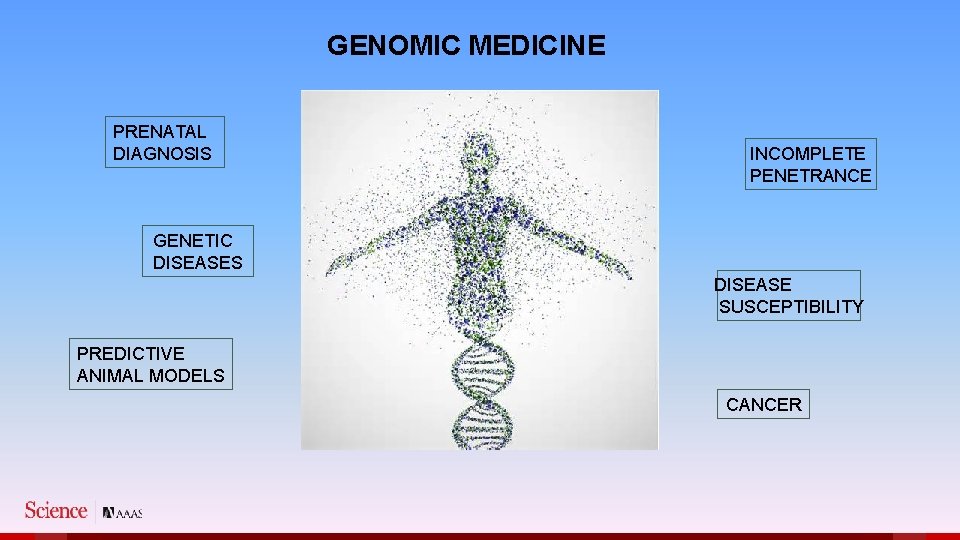 GENOMIC MEDICINE PRENATAL DIAGNOSIS INCOMPLETE PENETRANCE GENETIC DISEASES DISEASE SUSCEPTIBILITY PREDICTIVE ANIMAL MODELS CANCER