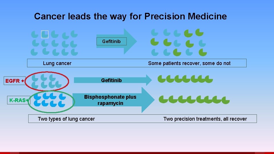 Cancer leads the way for Precision Medicine Gefitinib Lung cancer Some patients recover, some