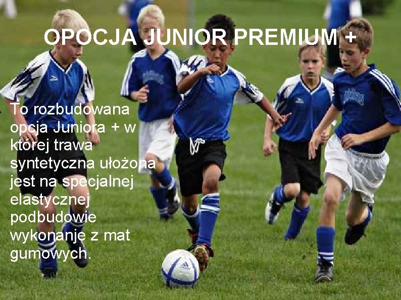 ● OPOCJA JUNIOR PREMIUM + To rozbudowana opcja Juniora + w której trawa syntetyczna