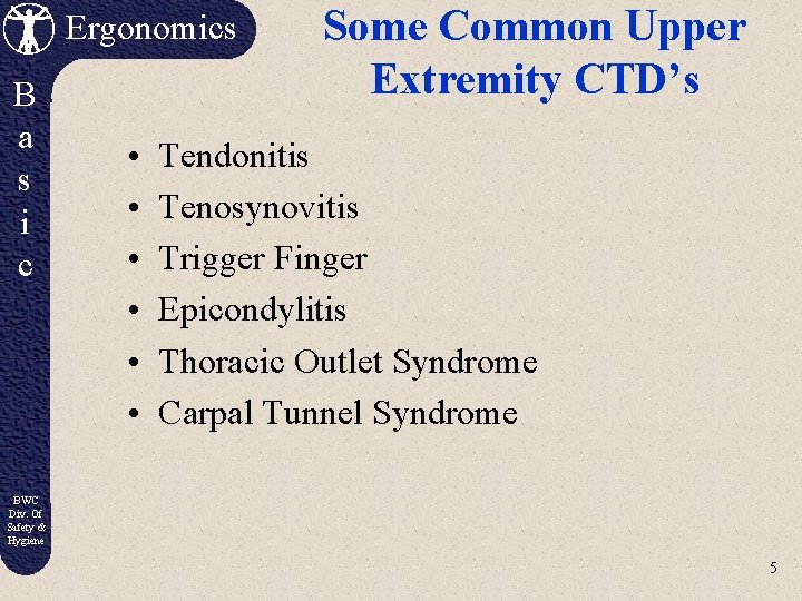 Ergonomics B a s i c • • • Some Common Upper Extremity CTD’s