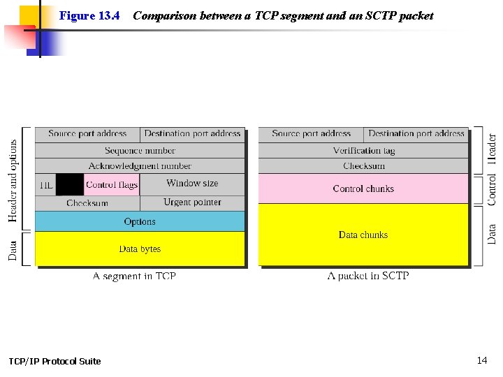 Figure 13. 4 TCP/IP Protocol Suite Comparison between a TCP segment and an SCTP Figure 13. 4 TCP/IP Protocol Suite Comparison between a TCP segment and an SCTP