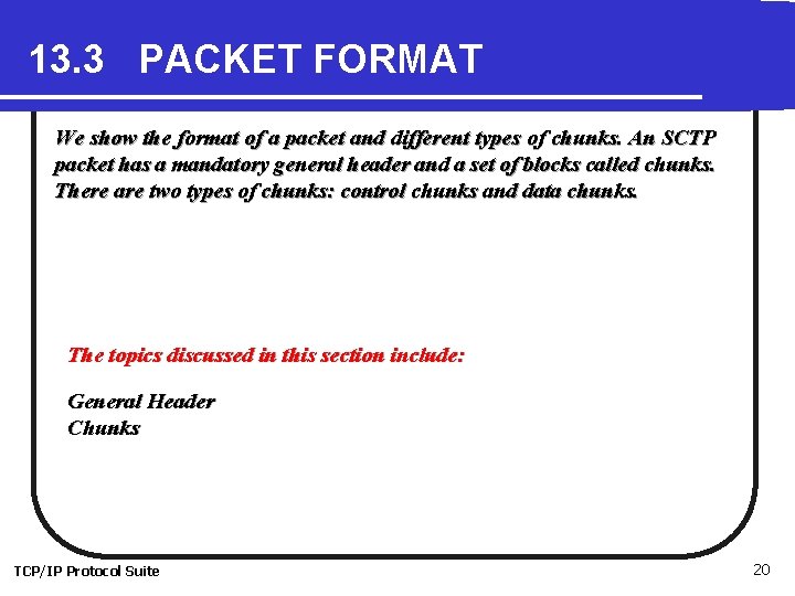 13. 3 PACKET FORMAT We show the format of a packet and different types 13. 3 PACKET FORMAT We show the format of a packet and different types