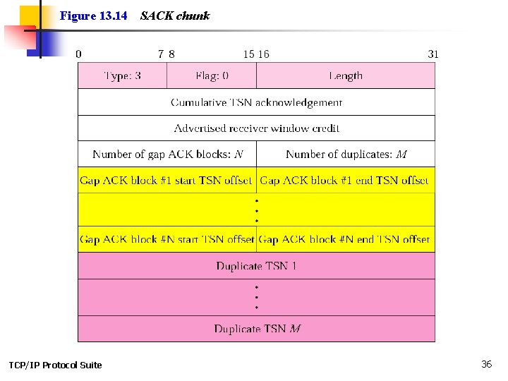 Figure 13. 14 TCP/IP Protocol Suite SACK chunk 36 