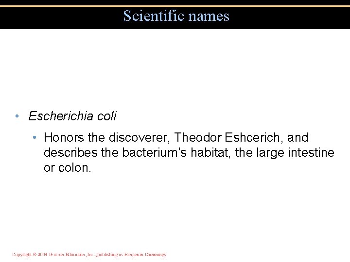 Scientific names • Escherichia coli • Honors the discoverer, Theodor Eshcerich, and describes the